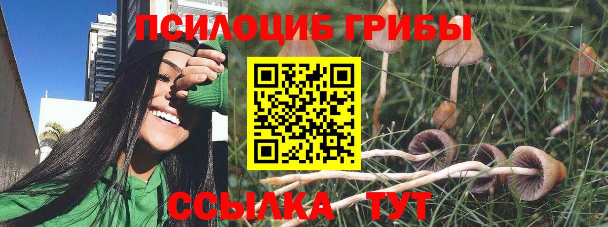 Галлюциногенные грибы прущие грибы Новороссийск
